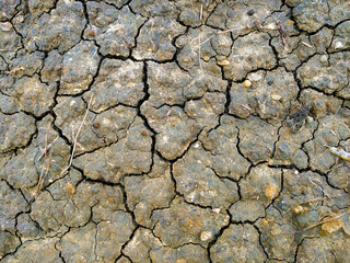 View of the cracked earth, out of focus, background.