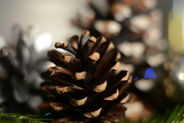 Christmas pine cone on blurred background close up