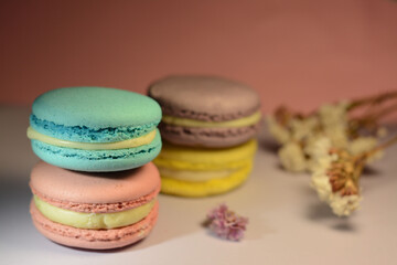 Fototapeta na wymiar Multicolored delicious macarons with limonium flowers on pink background