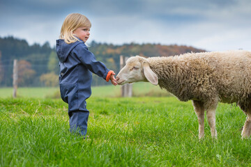 Deutschland, Bayern, Allgäu, Mindelheim, kleines Mädchen auf der Weide mit Schaf