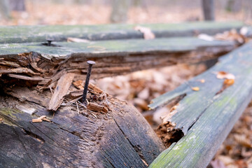 Rusty nail in an old, broken, rotten, wooden bench in the autumn forest