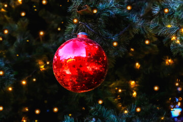 Red Christmas ball on the tree. Dark background selective focus