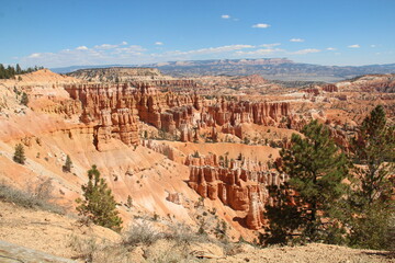Tall hoodoos in Bryce Canyon National Park.
