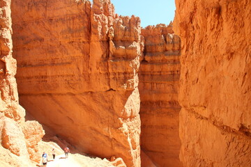 Tall hoodoos in Bryce Canyon National Park.