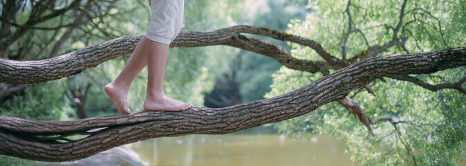 A man walks barefoot on a large tree branch. Close-up of the legs.