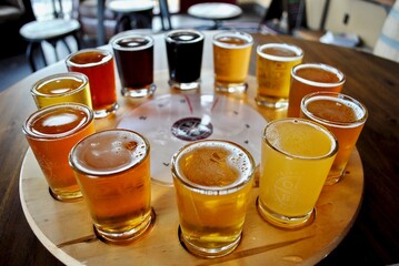 A flight of beer samplers. Beers range from light pale ales through dark stouts. Pilsner, lager,...