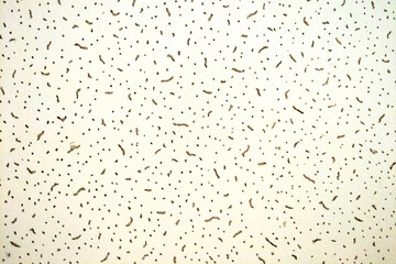 Abstract background, ceiling or wall of a building, background, pattern.