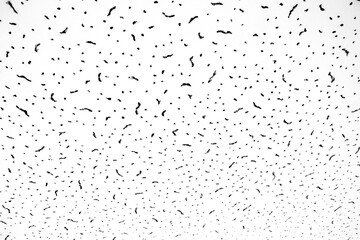 Obraz premium Abstract background, ceiling or wall of a building, background, pattern.