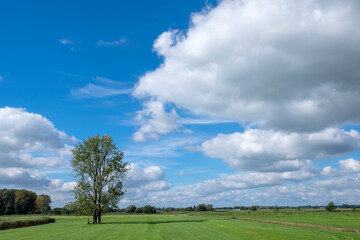 Landschaft an der Ems bei Weener