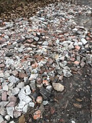 autumn leaves on the ground