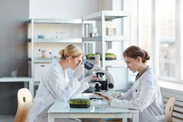 Side view portrait of two female scientists looking in microscope while examining plant samples in biotechnology lab, copy space