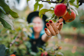 Blue haired woman picking up ripe red apple fruits from tree in green garden. Organic lifestyle,...