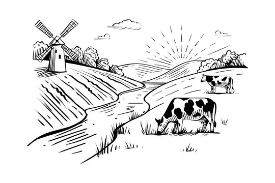 Rural landscape with windmill, cows, wheat fields and river on white background. Countryside hand drawn sketch in cartoon style for ecology and organic agricultural products design. Vector banner