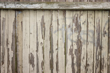 fondo de madera vieja, colores claros con un toque rústico