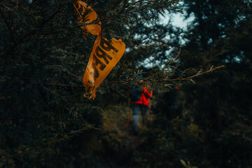 The Adventure Started