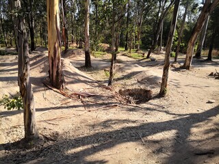 Bosque El Centinela Slalom