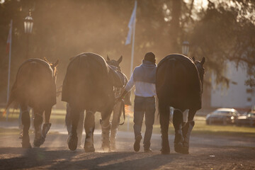 petiseros llevando los caballos por el camino de tierra después de un largo torneo