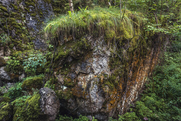 Ruins of Hitler's bunker in so called Wolf's Lair, Nazi military complex during WW2 in Gierloz, Poland
