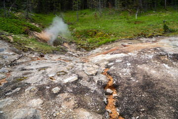 Hot springs and geysers (including Blood Geyser) along the Artists Paint Pots trail in Yellowstone National Park Wyoming