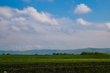 Fototapeta na wymiar View of green fields and blue sky with white clouds, mountains are visible on the horizon, out of focus.