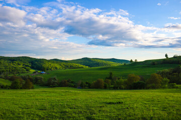 Fototapeta premium Scenic panoramic view of rolling countryside green farm fields with sheep, cow and green grass.