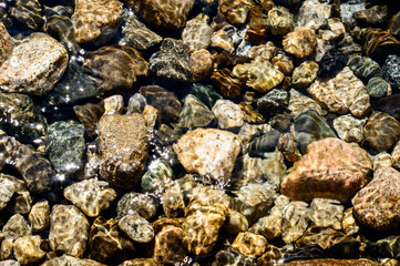 Close up photo of stones and logs in the crystal clear water of a lake on a very sunny day