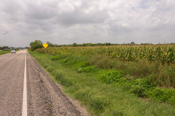 camino del lado izquierdo y del lado derecho el campo verde, con cielo nublado