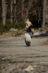 dog runs after his owner who is cycling on a dirt road