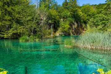 Fototapeta premium Landscape of Plitvice Lake National Park, view of its crystal water
