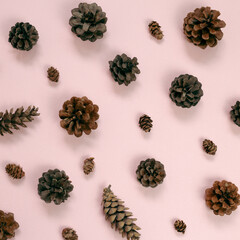 Pine cones pattern background. flat lay, top view
