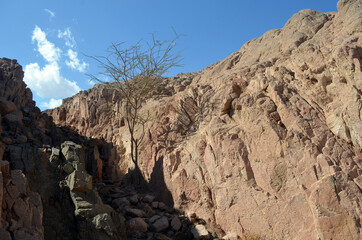 Desert of Sinai Peninsula, Egypt. Near Sharm El Sheikh