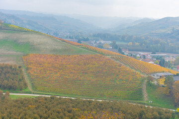 Amazing autumnal landscape in the Langhe, famous vineyard area in Piedmont Italy