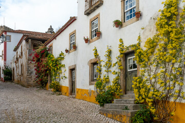 Fototapeta na wymiar Typical street of the medieval village of Óbidos in Portugal