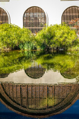 Reflecting Pond