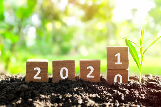 Changing year 2020 to 2021 in wooden blocks cubes with growing plant. New year, hope,  hello and goodbye concept.