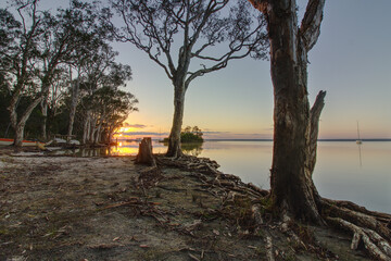 Fototapeta premium Summer sunrise over the Lake Cootharaba near Boreen Point, on the Sunshine Coast of Australia