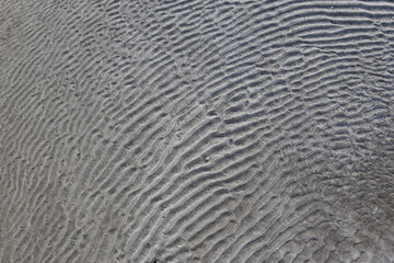 砂浜に残った砂紋
