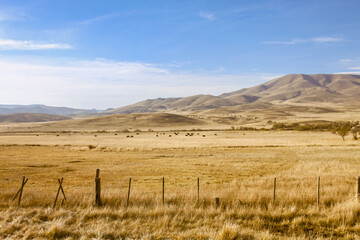 Fototapeta na wymiar Patagonian steppe in Neuquen, Argentina, near the Andes mountain range.
