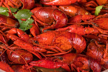 closeup gourmet  lobster on old wooden table