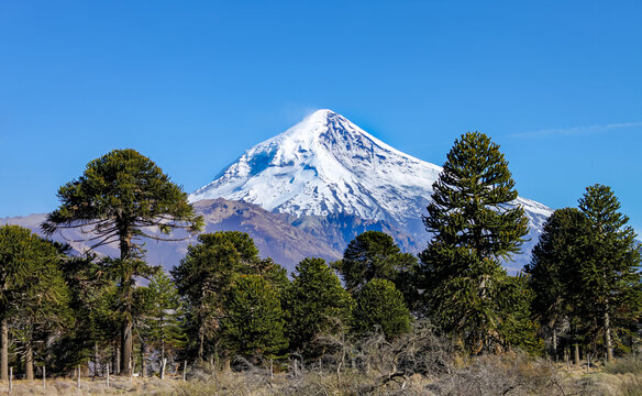 View of the Lanin Volcano from the road to Tromen Lake in Neuquen, Argentina. This volcano is covered by eternal snow.