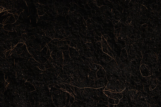 Black land for plant background, Top view of Fresh soil with mulch for gardening texture, World Soil Day concept