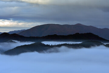 Fototapeta premium 霧の都「亀岡霧のテラス」からの雲海絶景