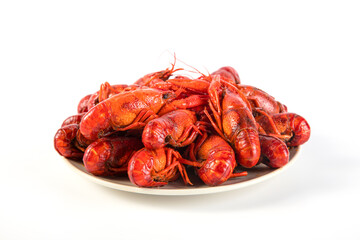 closeup gourmet  lobster on white wooden table