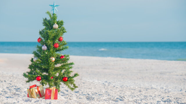 Christmas tree on the beach. Christmas trees on sand beach shore. Decorated pine or fir tree on Christmas celebration. Winter season. On background ocean. Winter in Florida. Copy space.