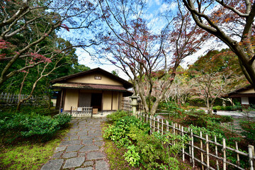 日本の紅葉と滝