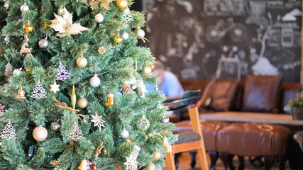 Pine trees decorate for christmas in the cafe.
