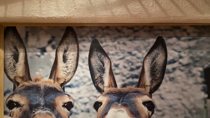 landscape, architecture, nature, mountains, scenery