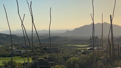 landscape, architecture, nature, mountains, scenery