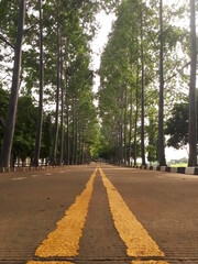 road in the park