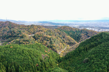 日本の紅葉と滝